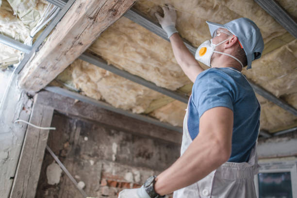 Best Home Insulation Services  in USA